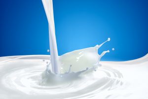 mleko w diecie i treningu